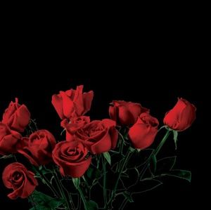 Meet your Posher, Jovanna